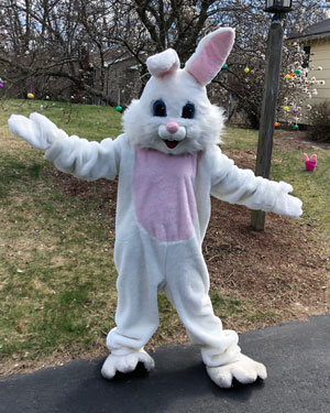 Easter Bunny 